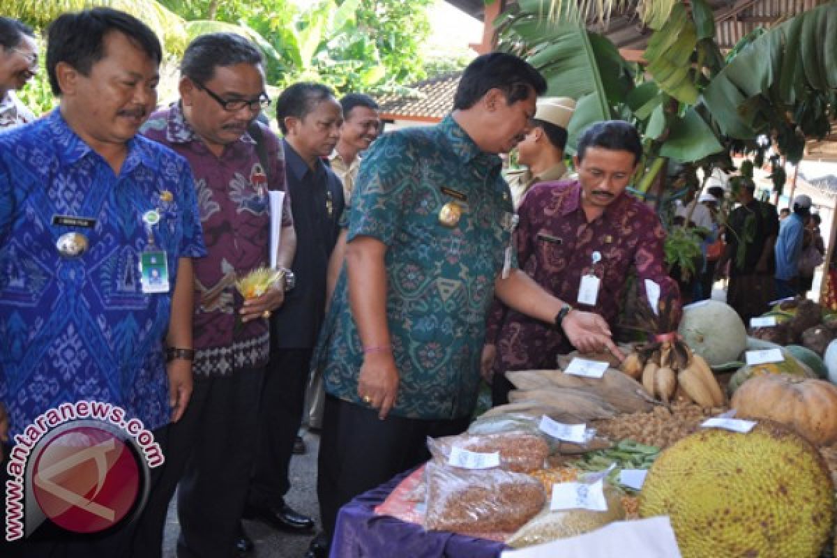 Bali Meraih Tiga Penghargaan Lomba Desa 2017 