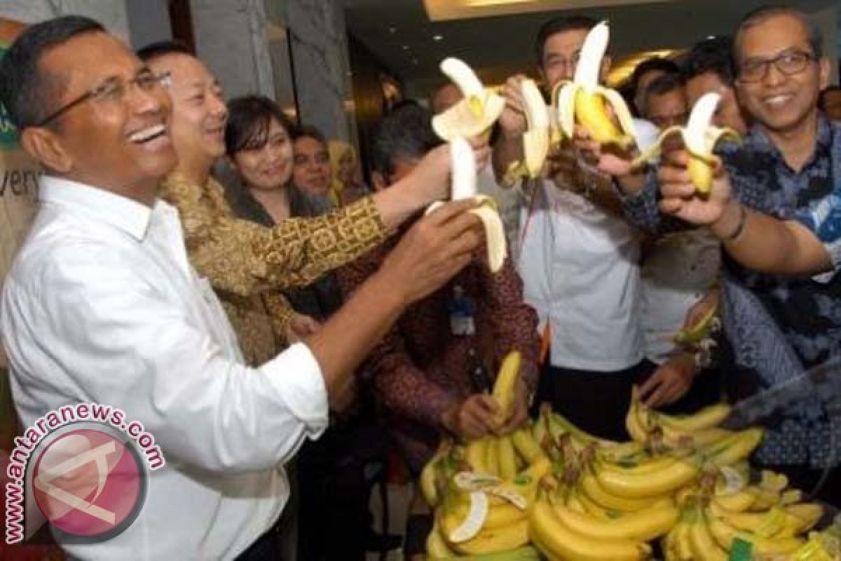 Manufacturing Hope 78 : Bantal Emas Masal dari Negara Tropik