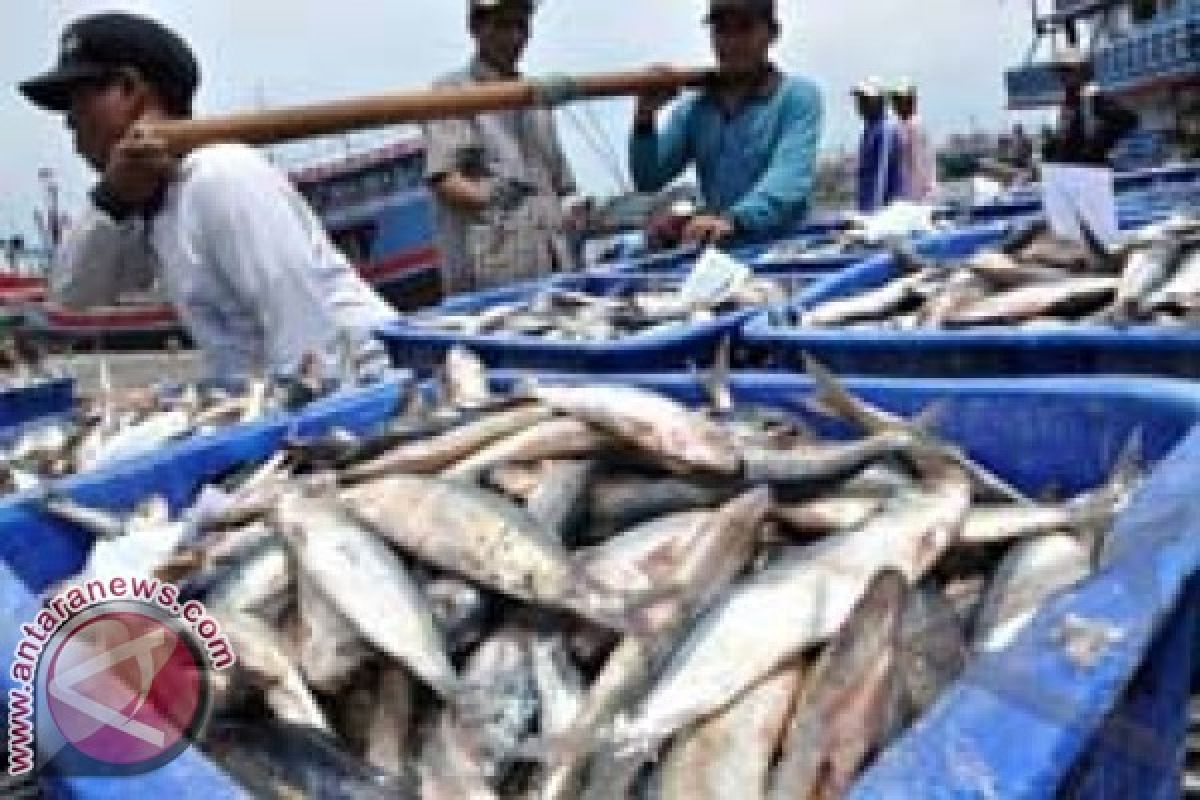 Harga ikan laut melambung menjelang tahun baru 