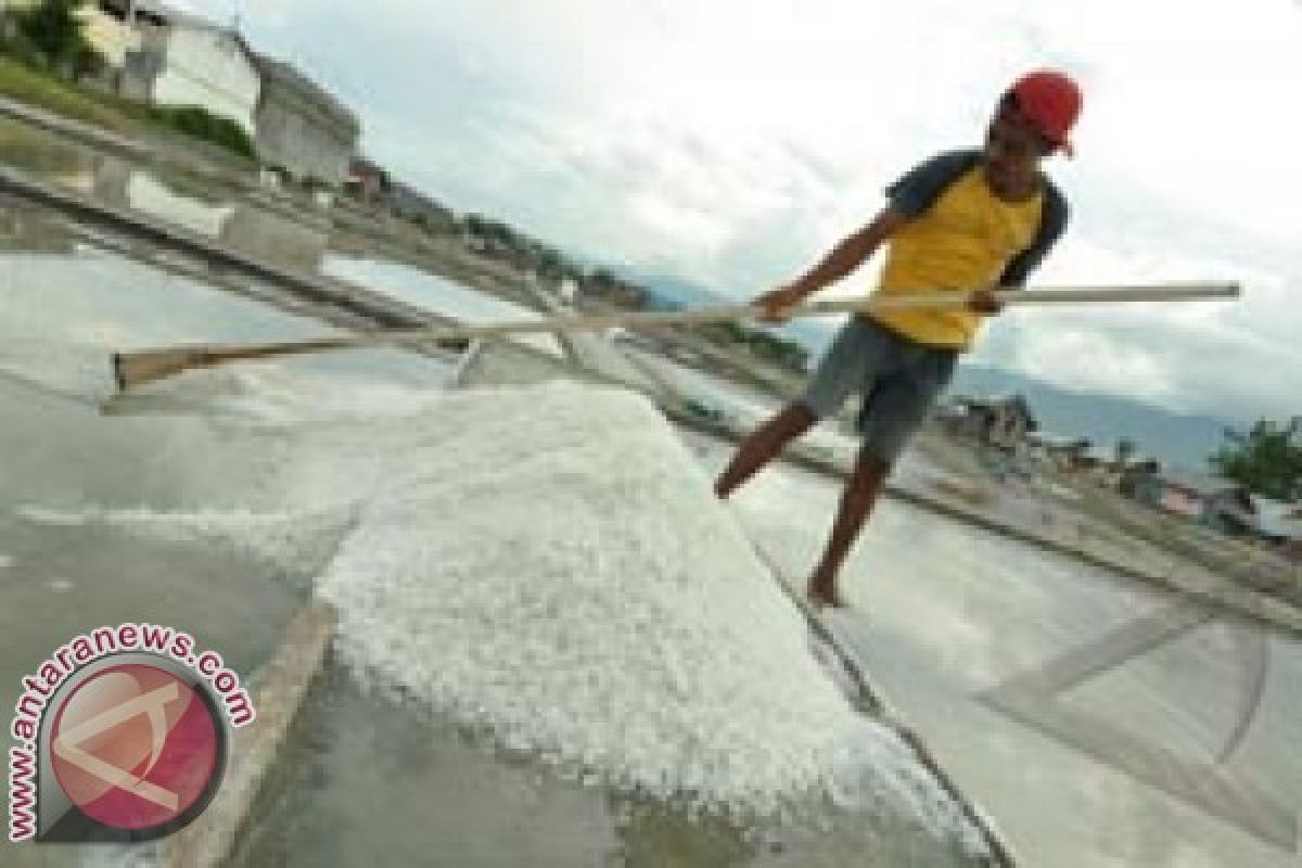 Pangkep kembangkan 75 hektare lahan garam terintegrasi