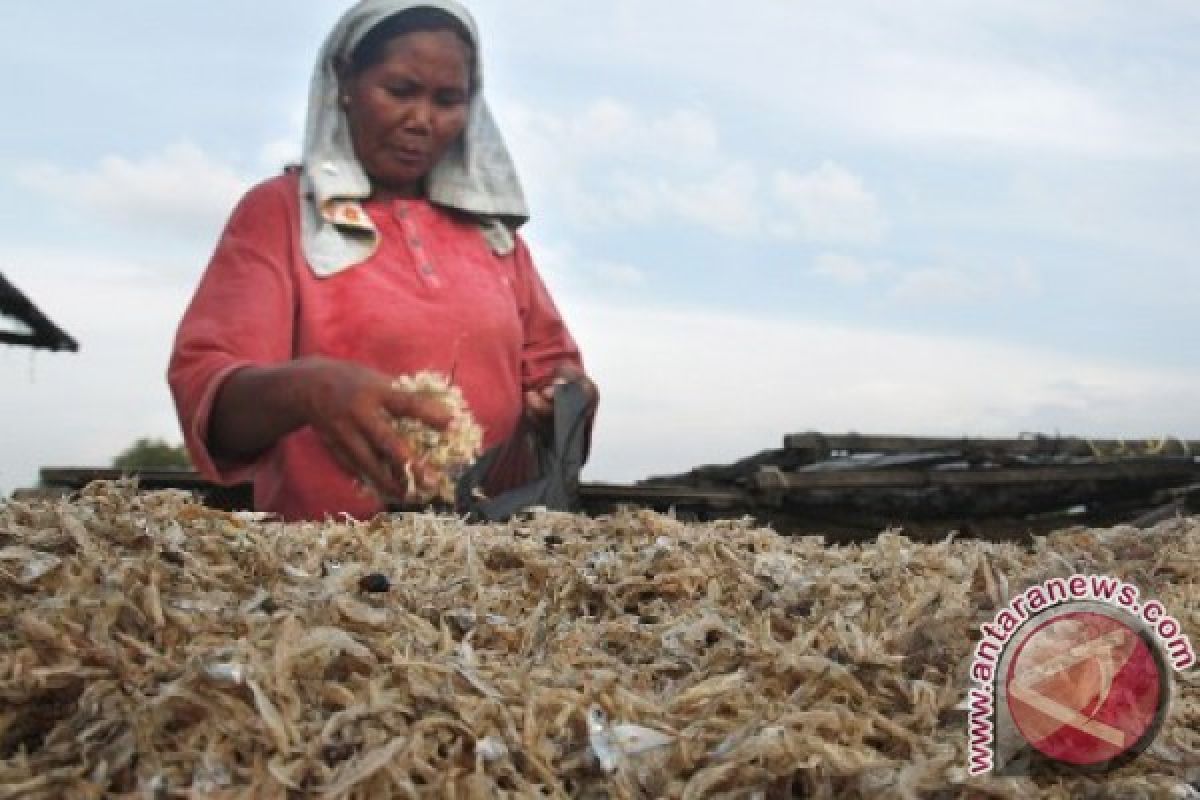 Proses Pengeringan Ikan