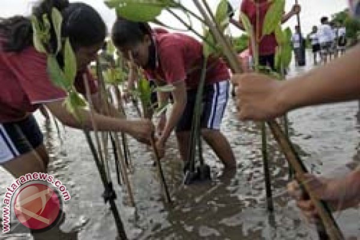 LDII tanam pohon bakau di Takalar 