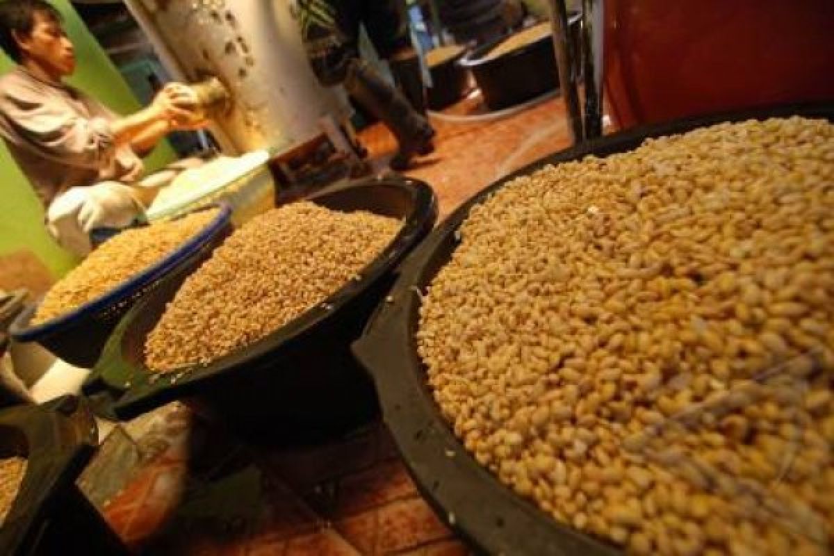 Harga Kedelai Impor Turun