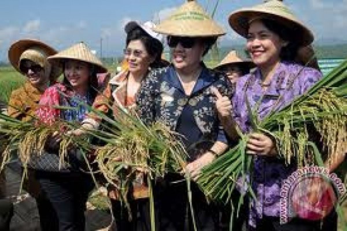 SIKIB Canangkan Gerakan Indonesia BerSeRRI di Padang