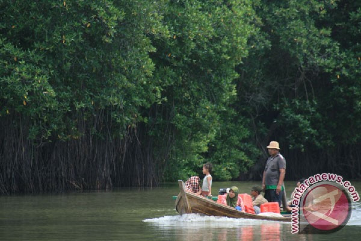 Jaga hutan bakau Indonesia