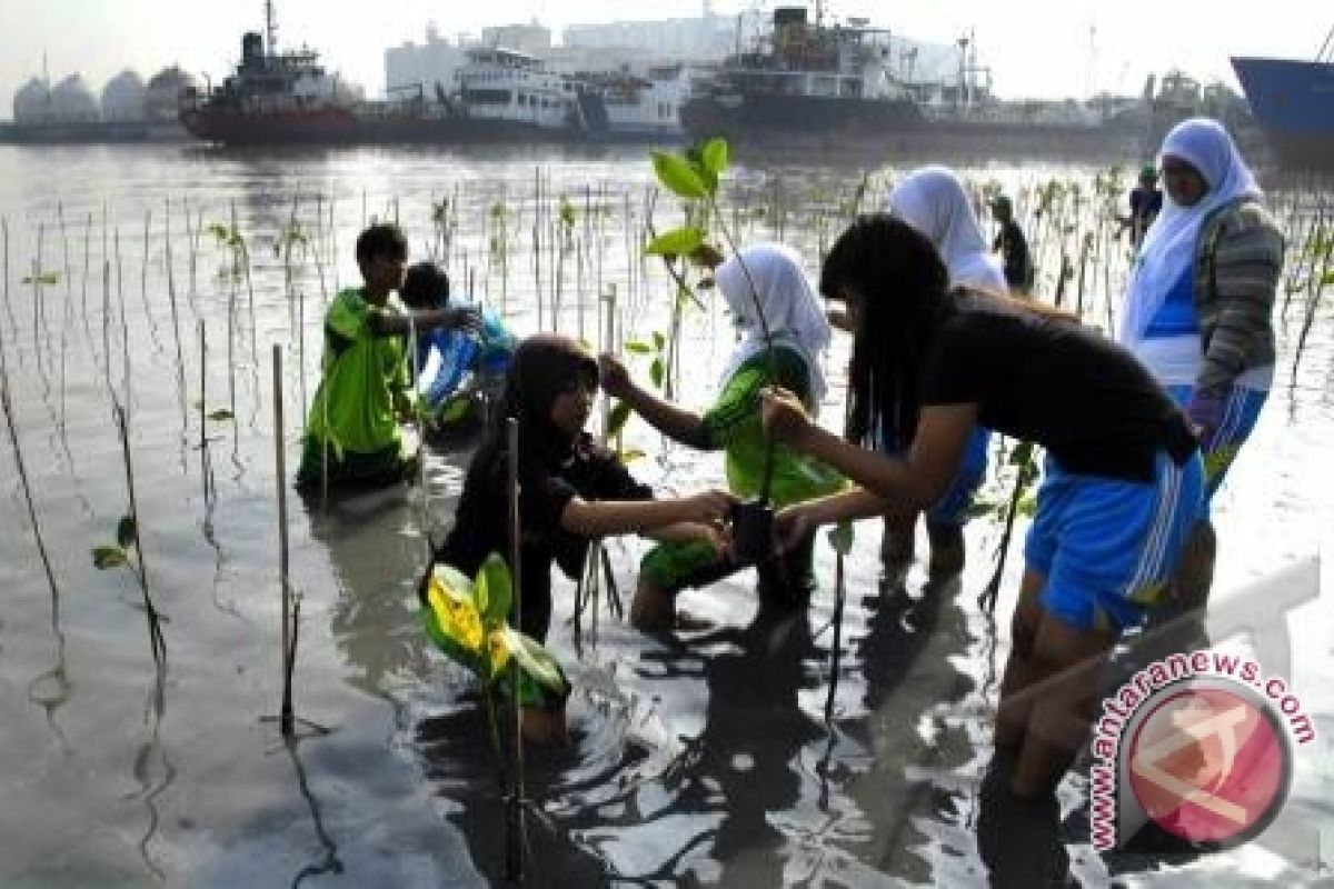 TNI Buat Wisata Mangrove di Mukomuko