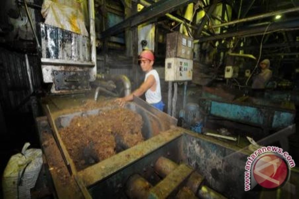 Harga CPO di Sumsel turun