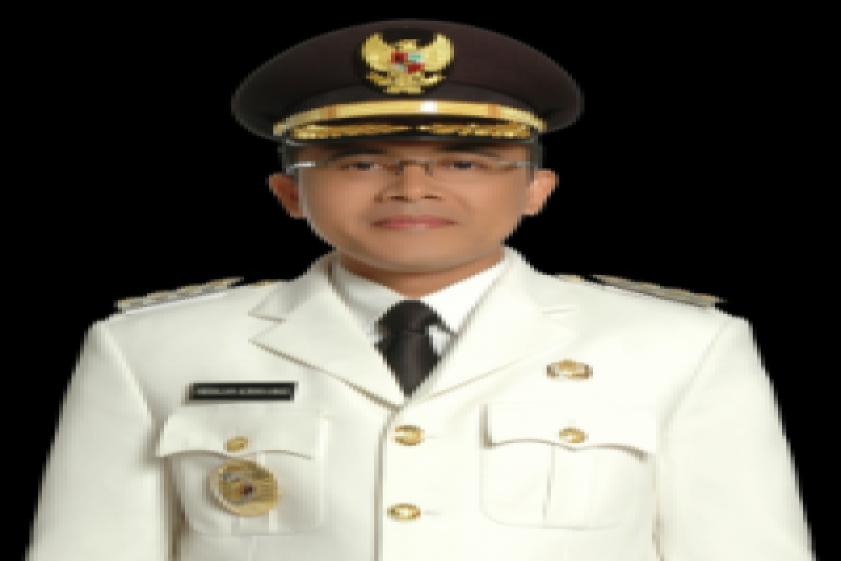 Bupati Banyuwangi raih "Social Media Award 2014"