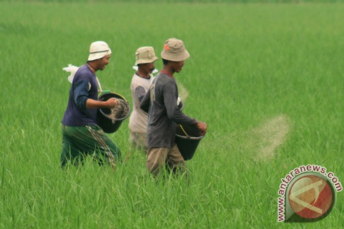 HKTI: sektor pertanian belum siap hadapi Masyarakat Ekonomi ASEAN