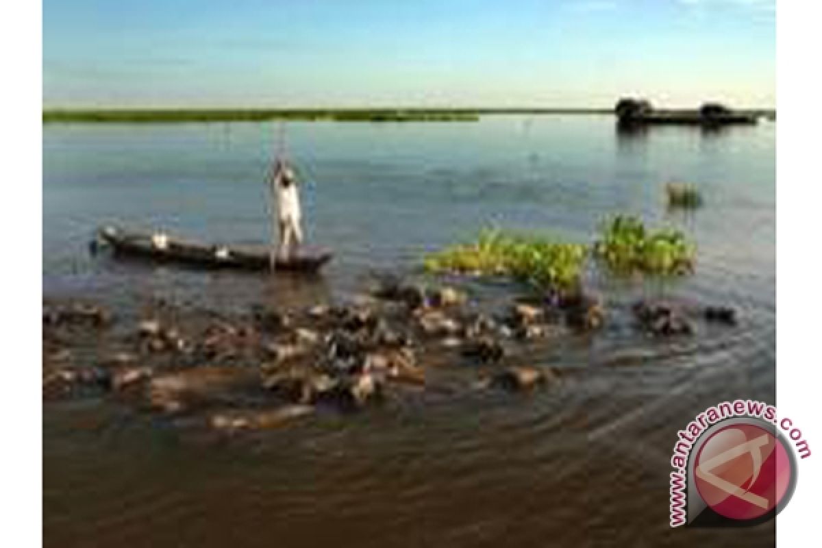 Swamp Buffalo Breeders Difficulty to Build Stable