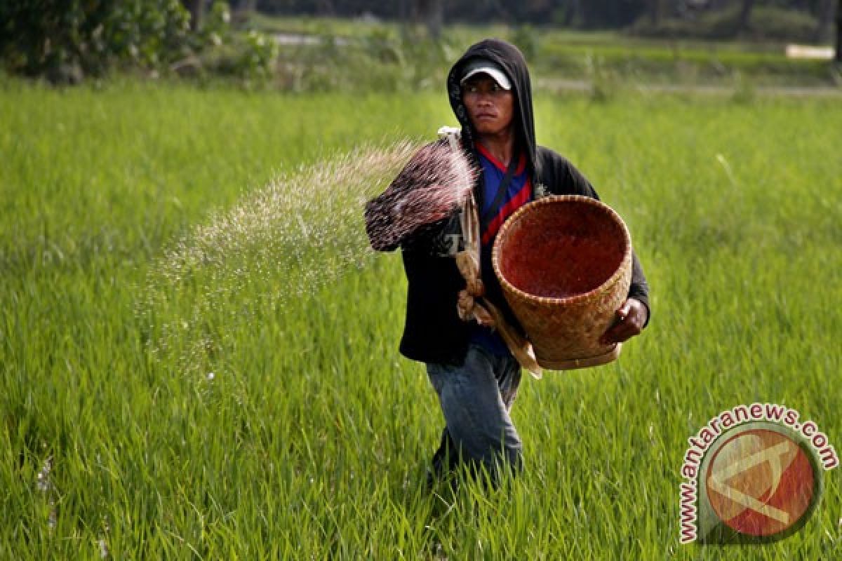 APPI: intensifkan penyuluhan efisiensi penggunaan pupuk