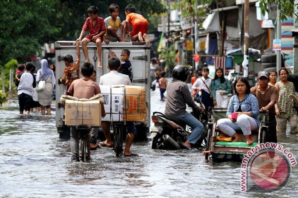 Jokowi pantau banjir rob