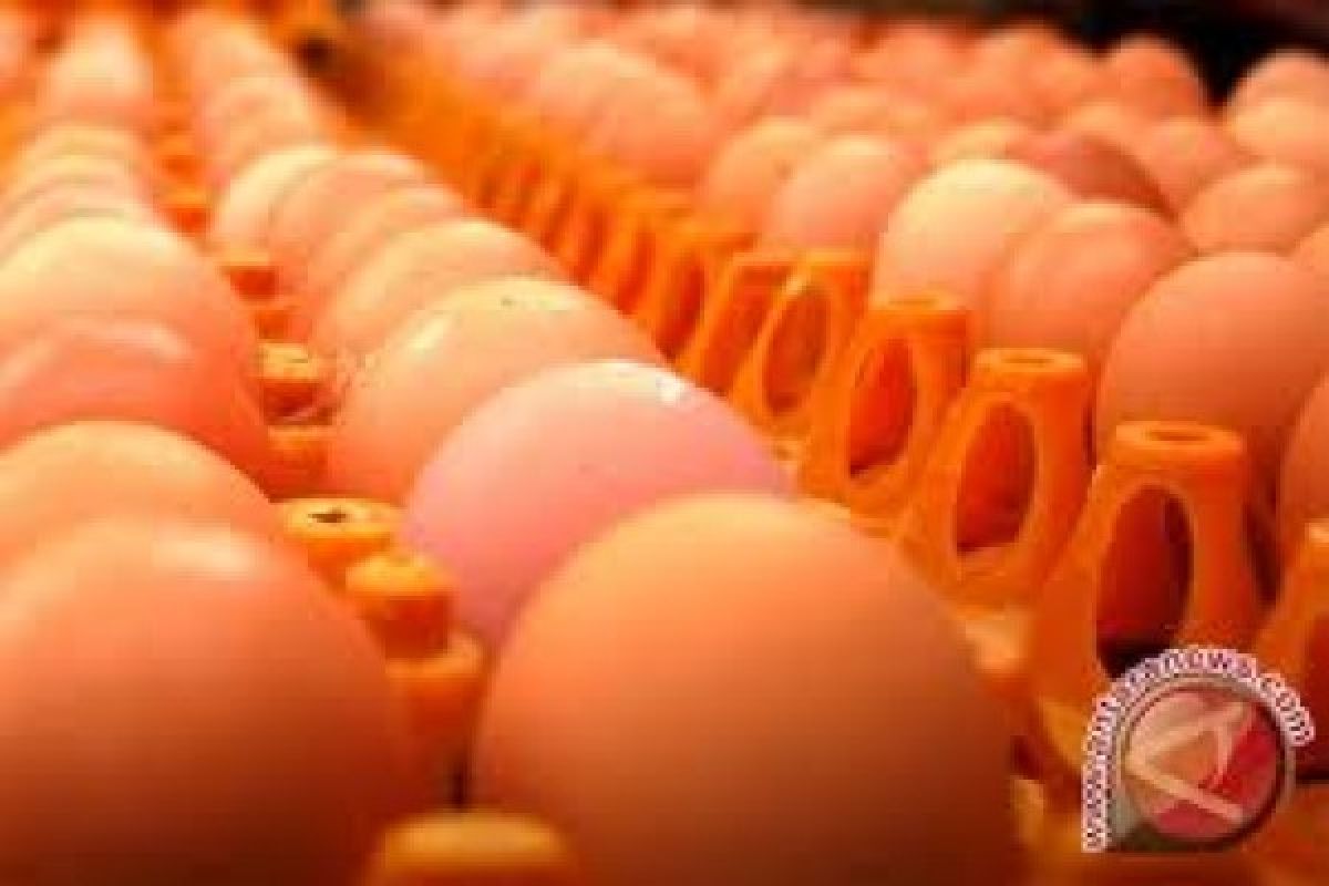 Pariaman Bagikan 10.000 Telur Ayam Kepada Anak-Anak