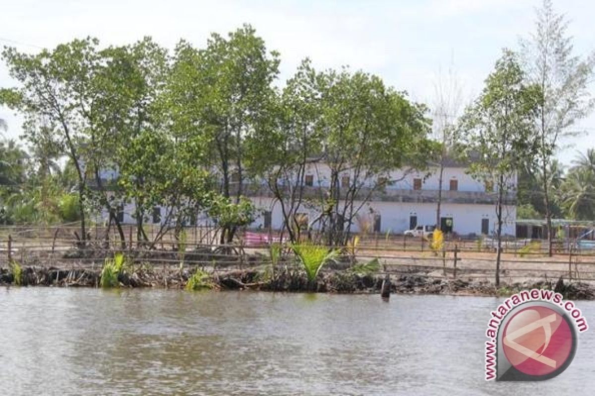 Komunitas mangrove hijaukan dua anak sungai