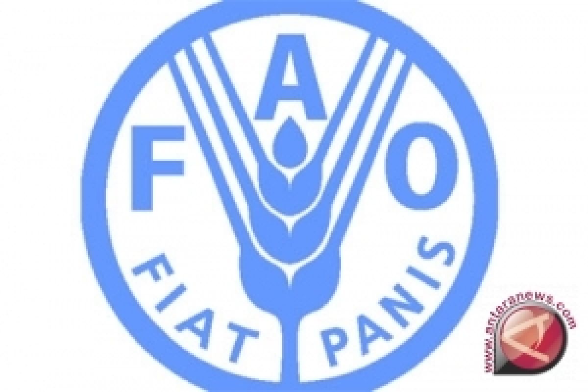 FAO Nilai Indonesia Mampu Turunkan Tingkat Kelaparan