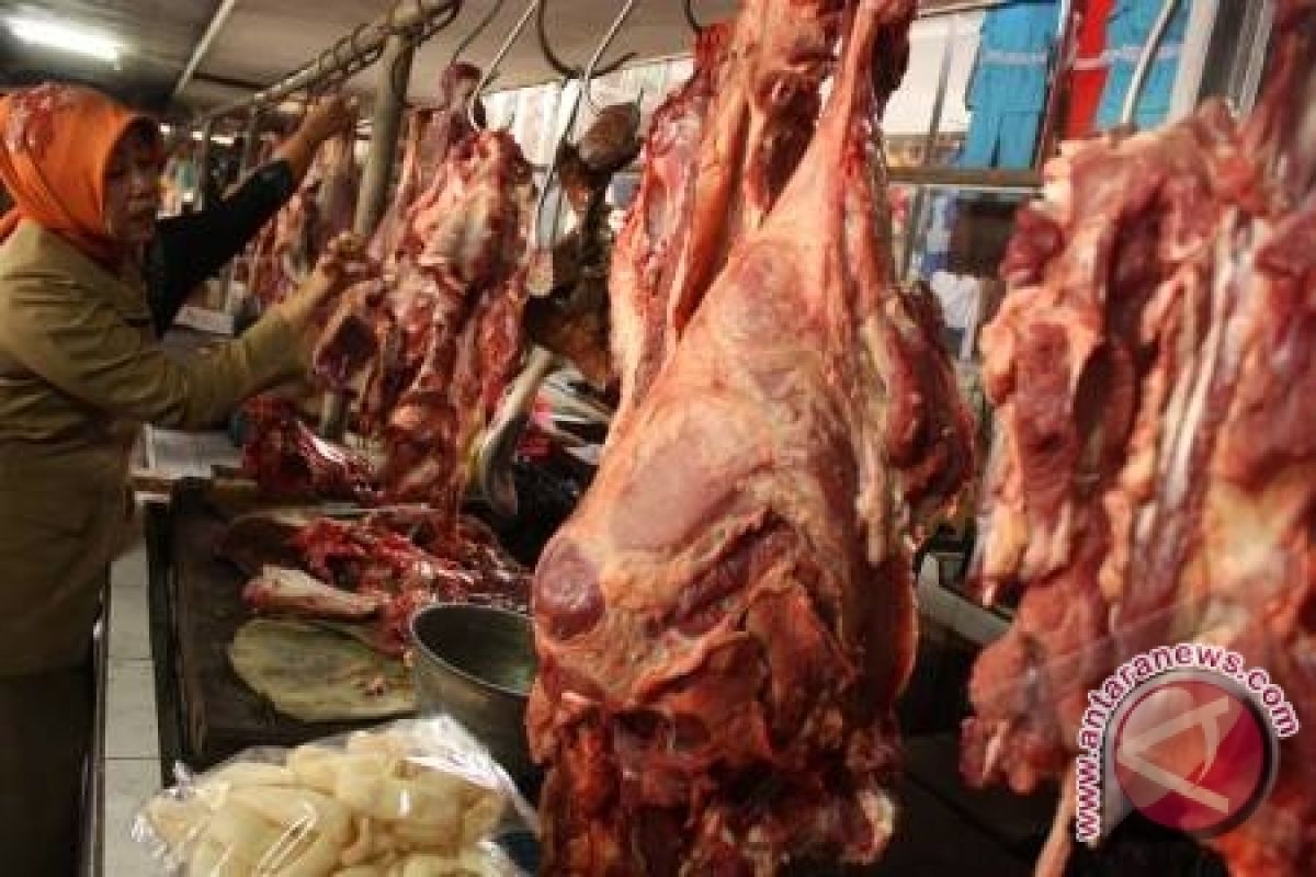 Harga Daging Sapi Di Muntok Rp100 Ribu Per Kg