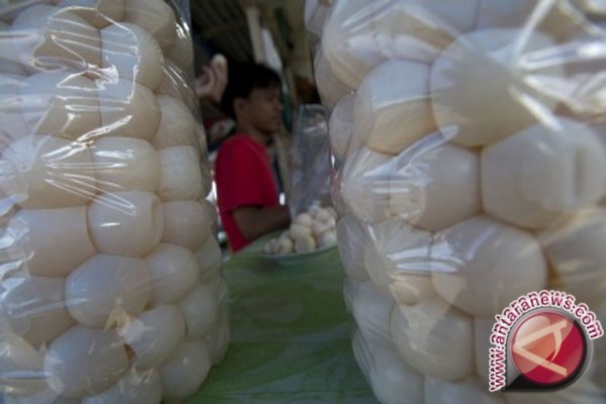 Perburuan Telur Penyu Kembali Marak Di Sambas