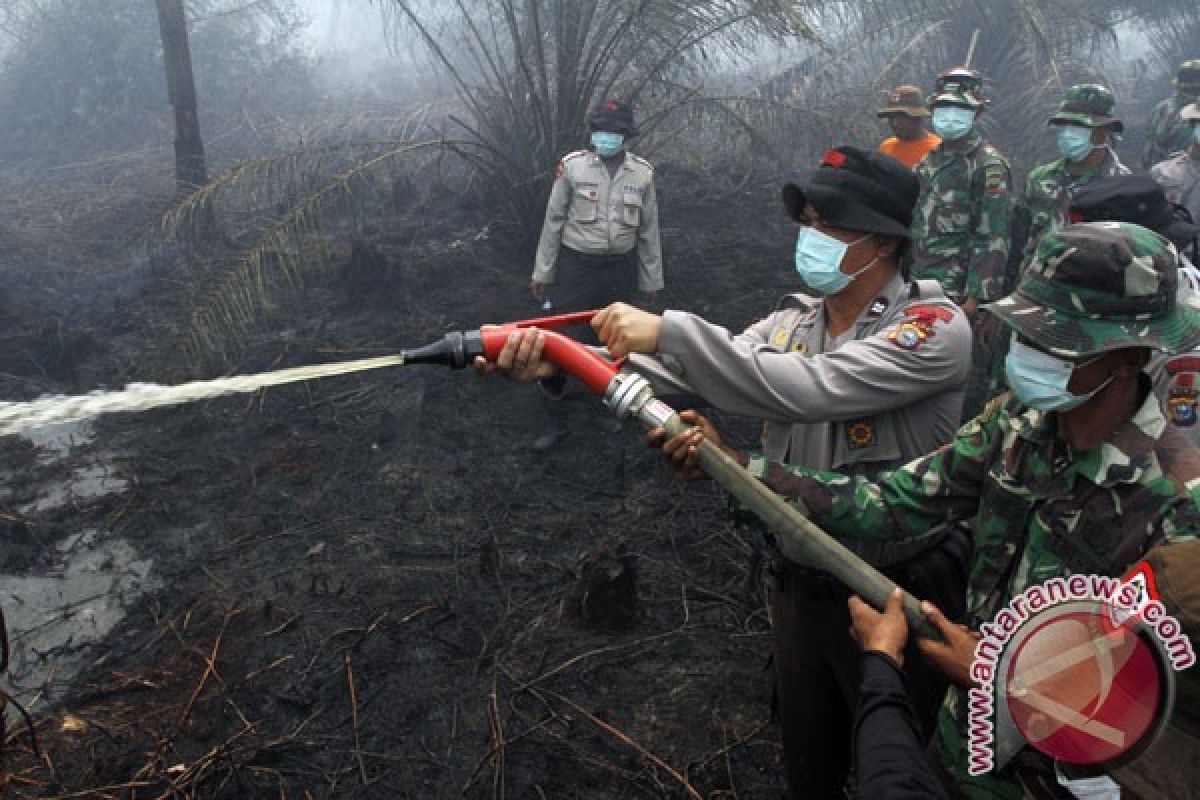 Taman Nasional Tesso Nilo Riau juga terbakar