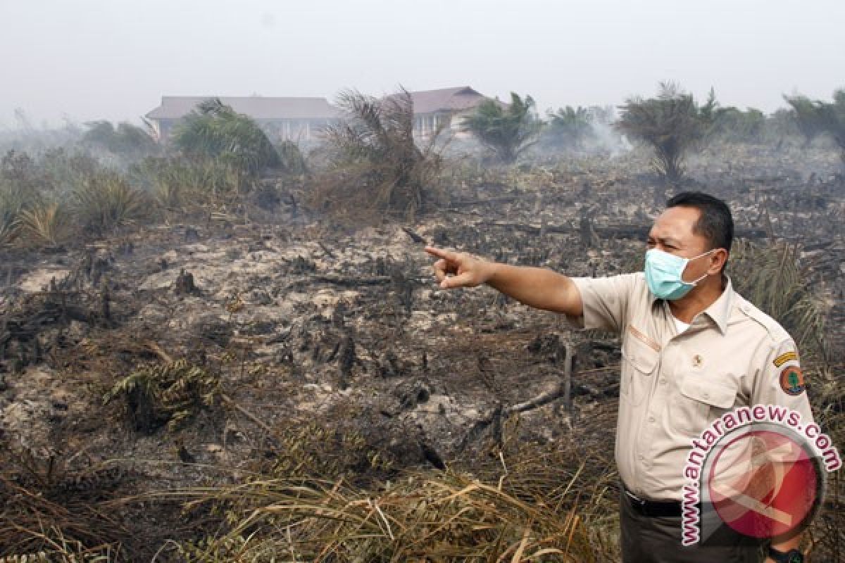 Walhi somasi Presiden soal penanganan kebakaran hutan