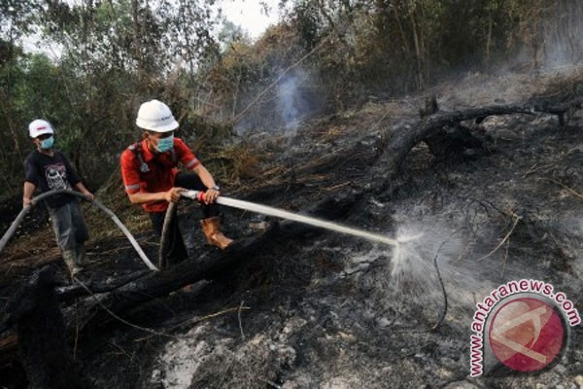 Foreign firms allegedly involved in Riau forest fires