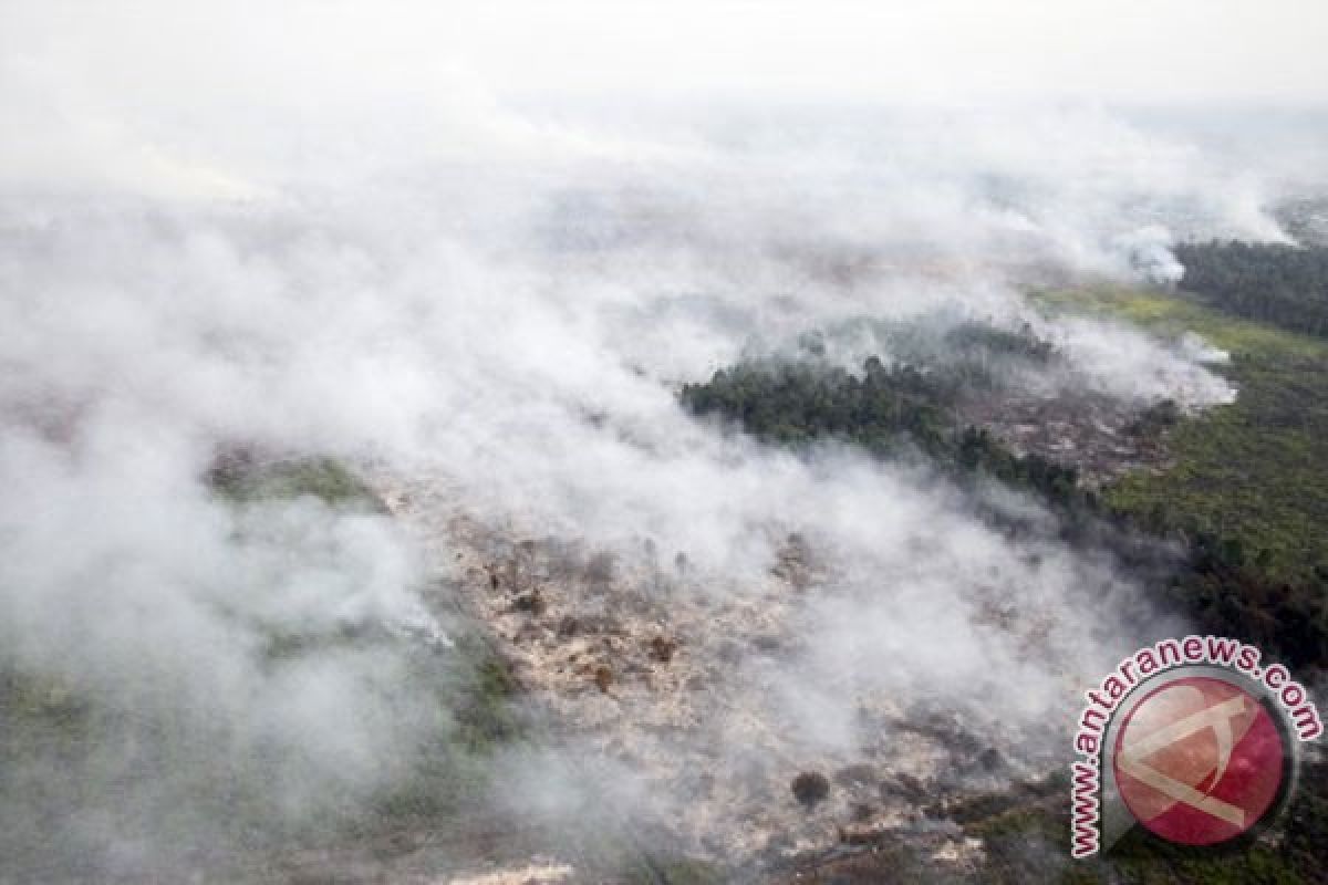 Kebakaran lahan Rokan Hilir paksa 276 keluarga mengungsi