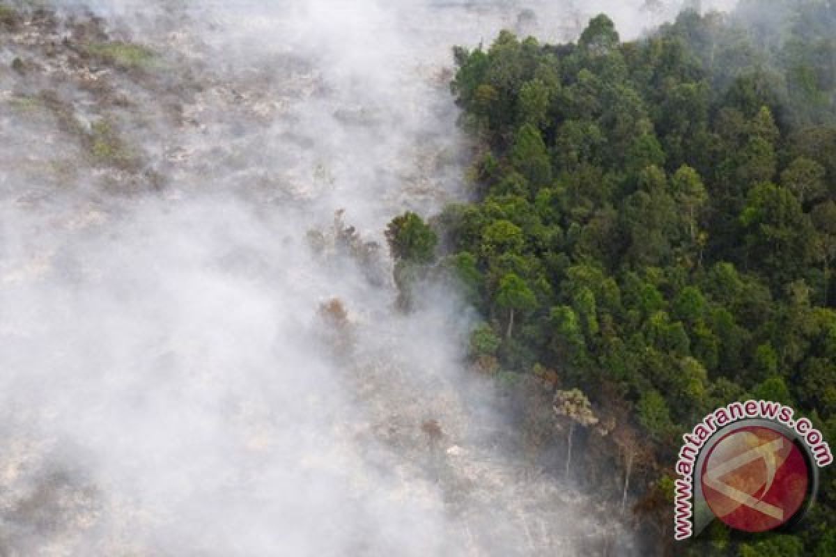 Polisi tangkap dua tersangka pembakar lahan di Riau