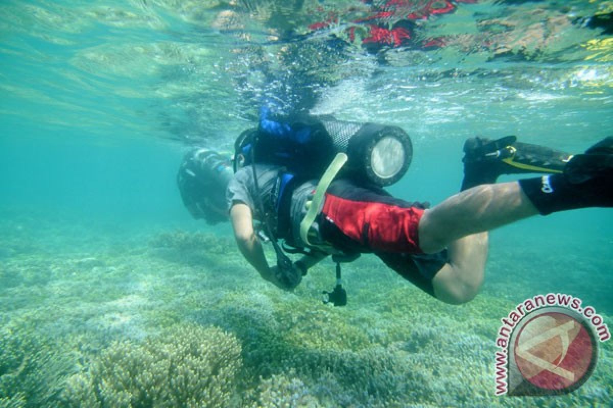 45 penyelam Aceh bentangkan bendera di laut