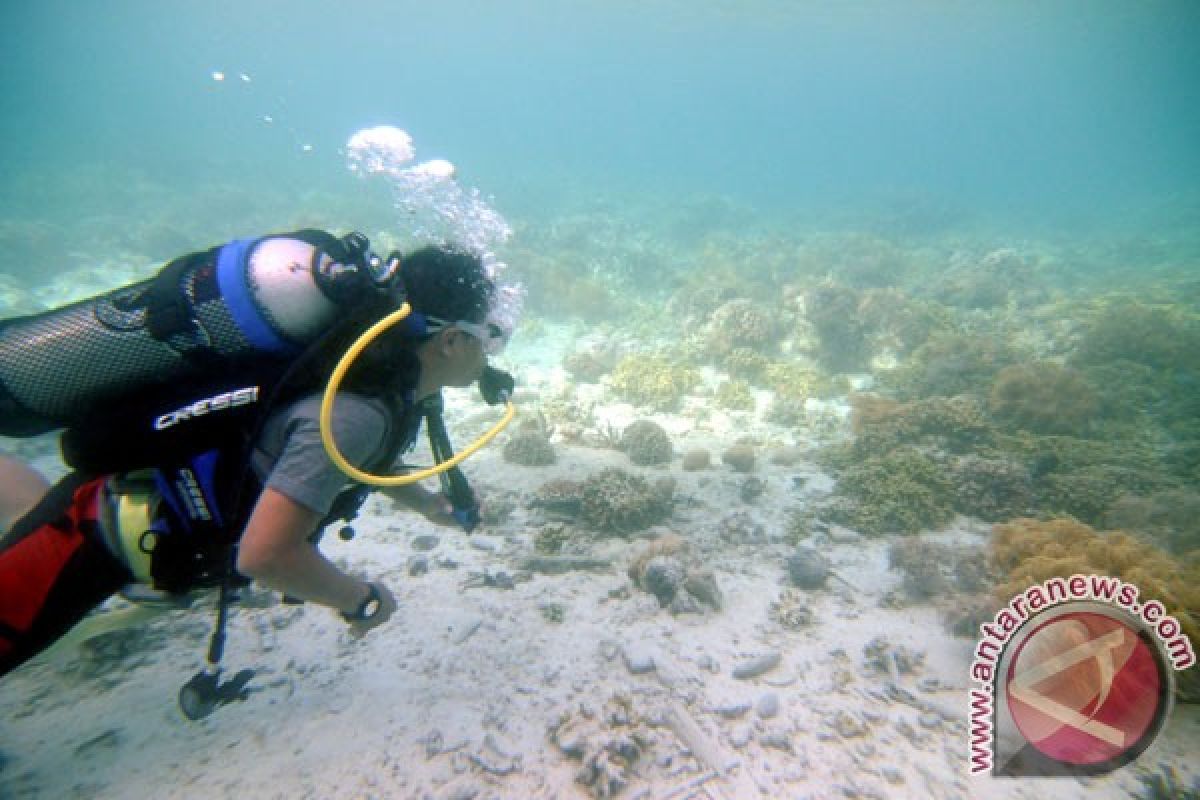 Hanya 5,29 persen terumbu karang masih sangat baik