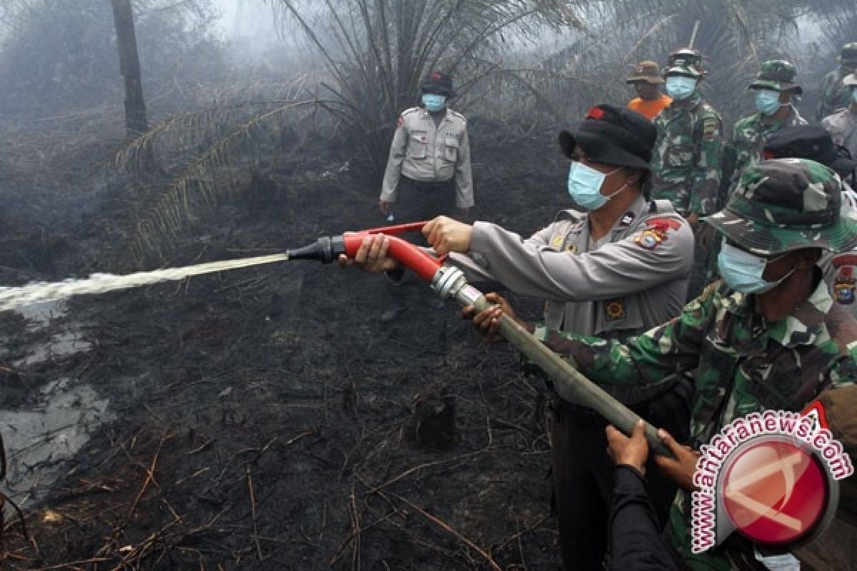 Kepala BNPB Pantau Lokasi Kebakaran Lahan Kalteng 