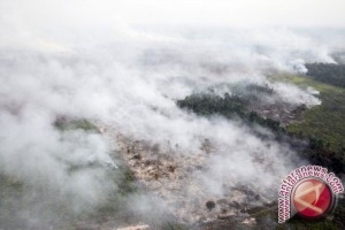 Number Of Sumatra's Fire Hot Spots Increases to 227