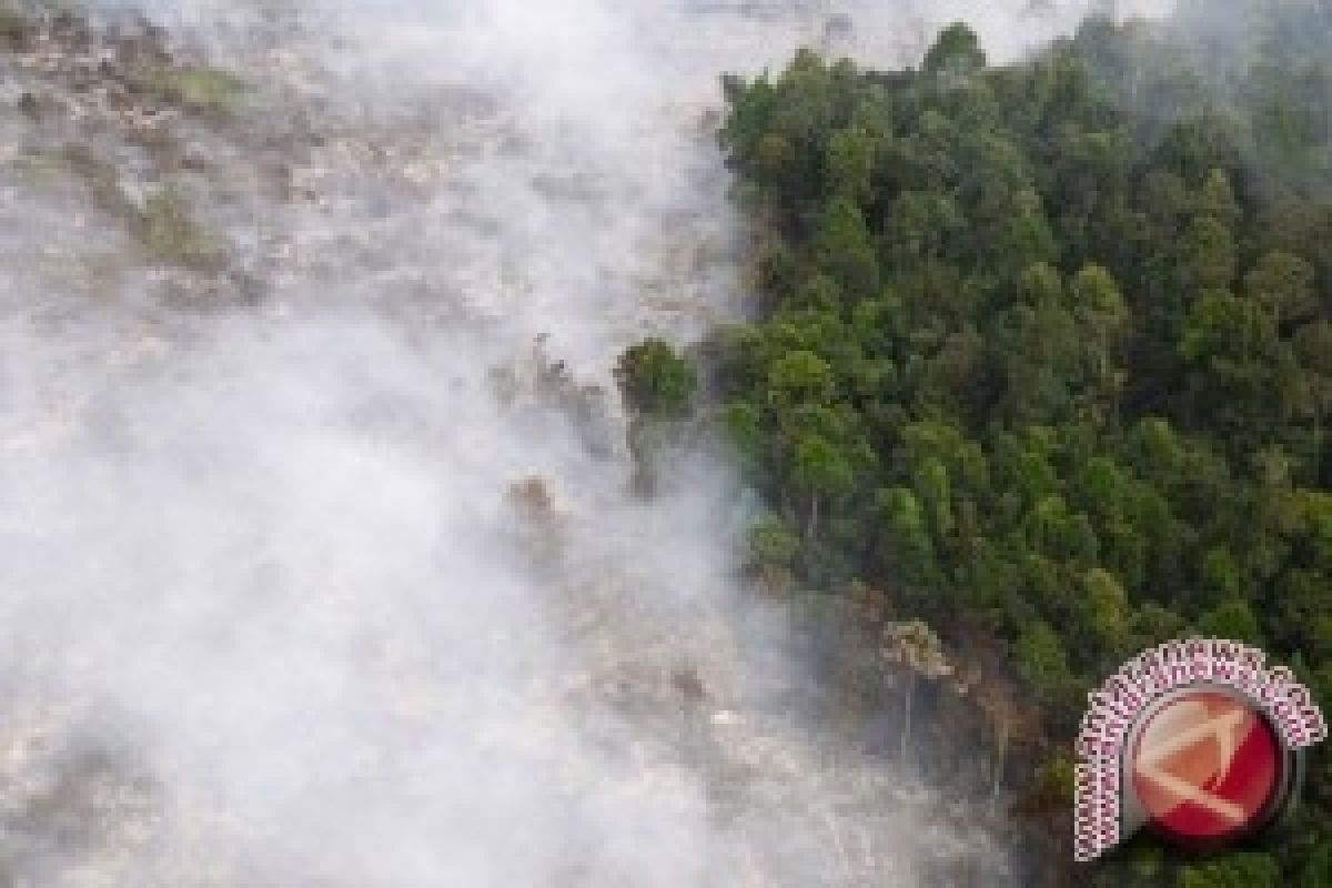 Pemkab Bangka Tengah Revitalisasi Kawasan Lindung