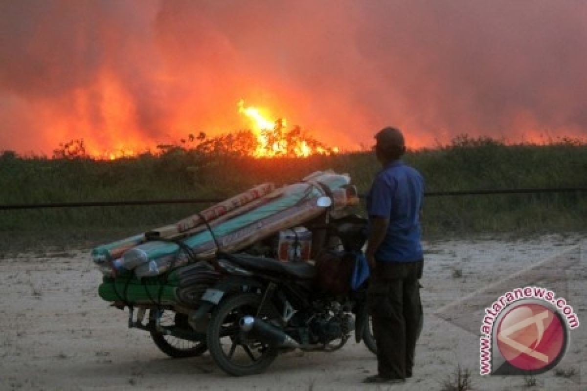 Presiden Pimpin Apel Satgas Bencana Asap Riau