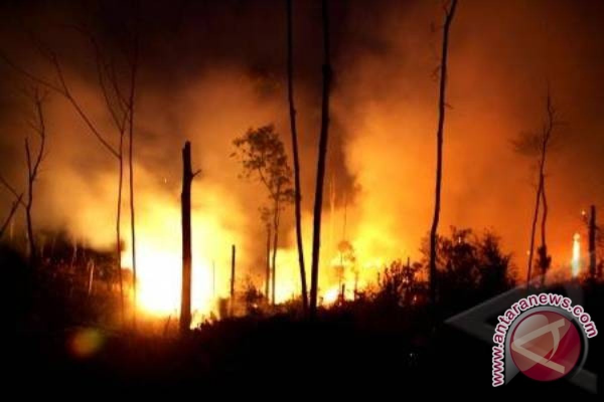 Tim sisir lokasi kebakaran hutan Merbabu