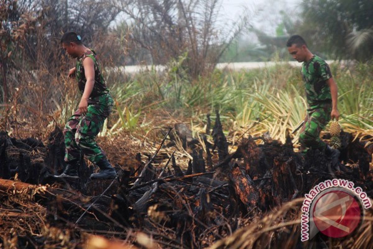 Ribuan personel TNI dikerahkan padamkan titik api