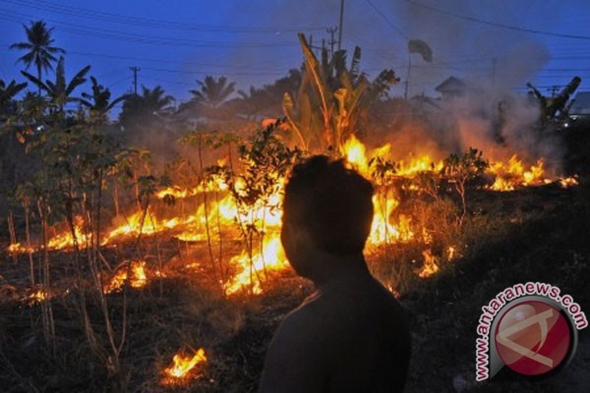 BNPB: 19 titik api masih tersisa di Riau