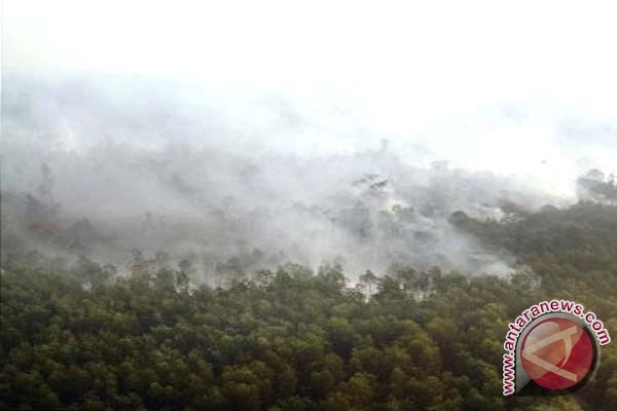 9 Kecamatan Kotawaringin Timur Rawan Kebakaran Lahan