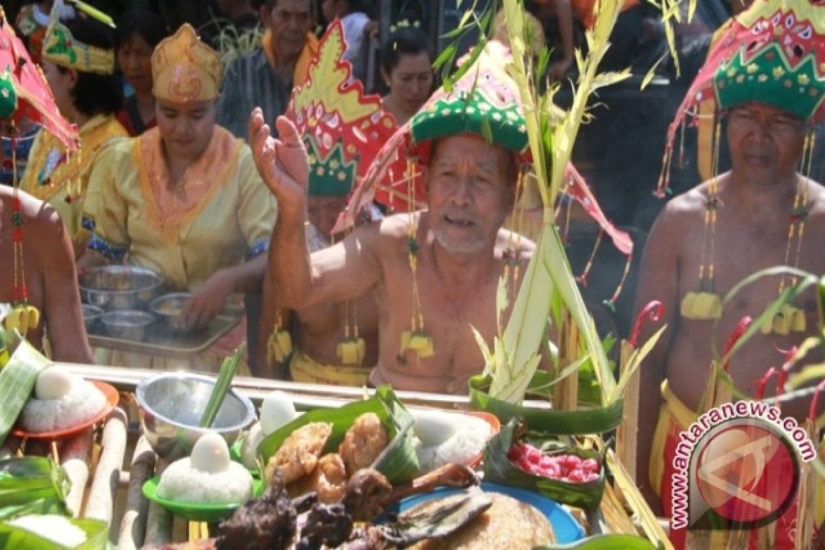 Pesta Adat Erau Dimulai 