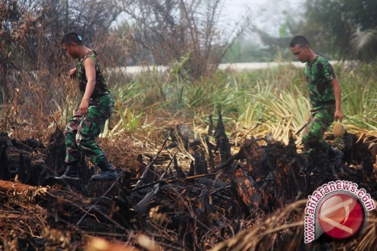 Pemkab Tingkatkan Kerja Sama Antisipasi Pembakaran Hutan 