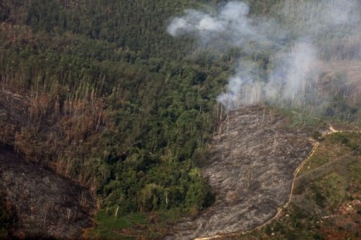 AICHR desak penerapan perjanjian ASEAN tentang kabut asap secara penuh