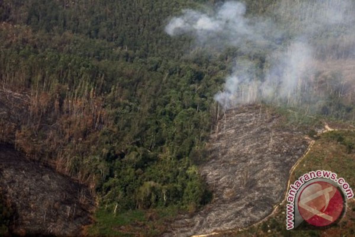 Ada 27 titik panas di Riau