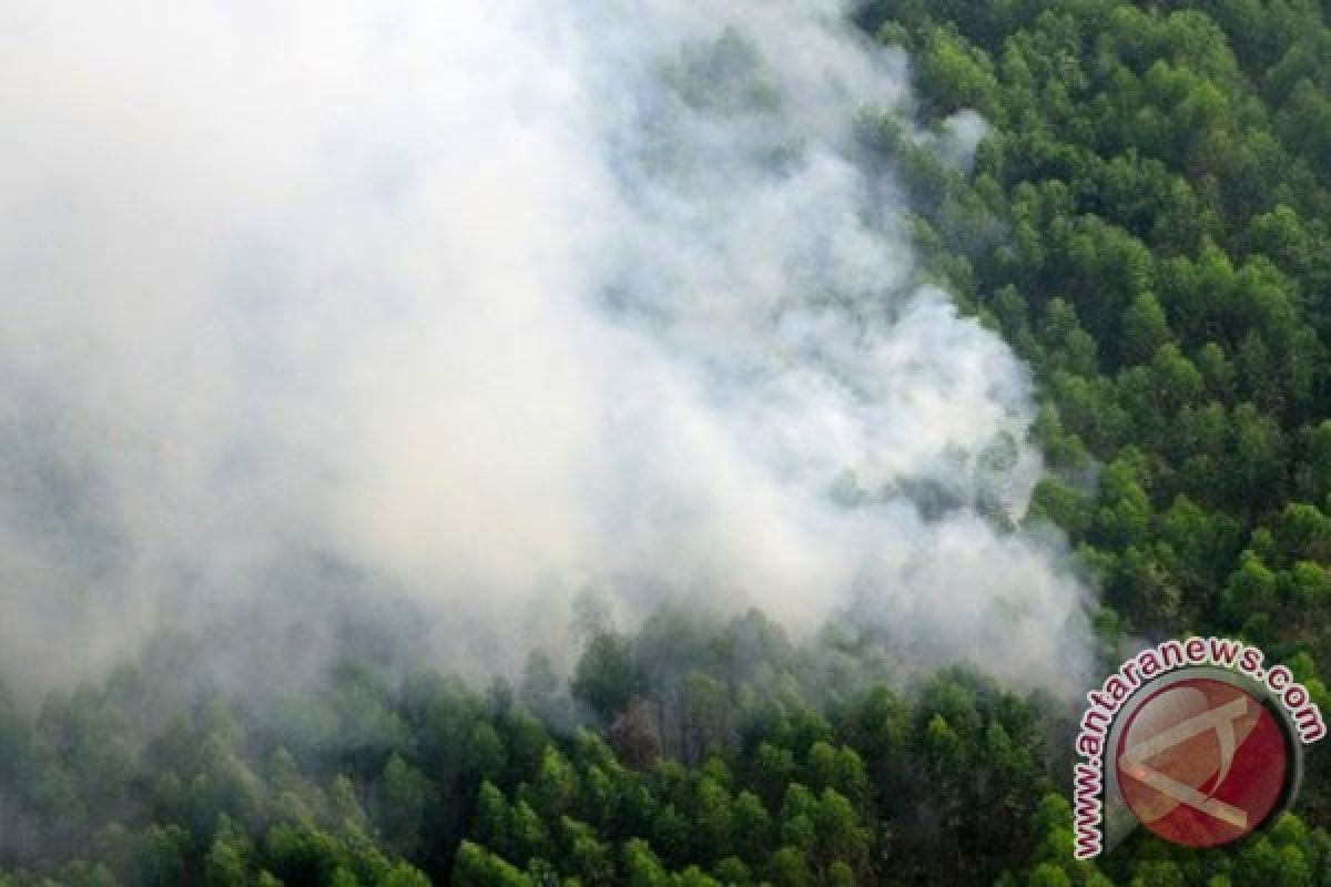 Police detain Malaysian for starting forest fire in Indonesia's Riau