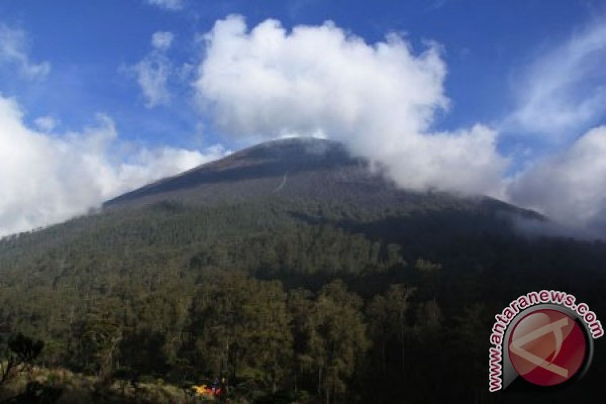 Pendaki dilarang upacara di Puncak Mahameru