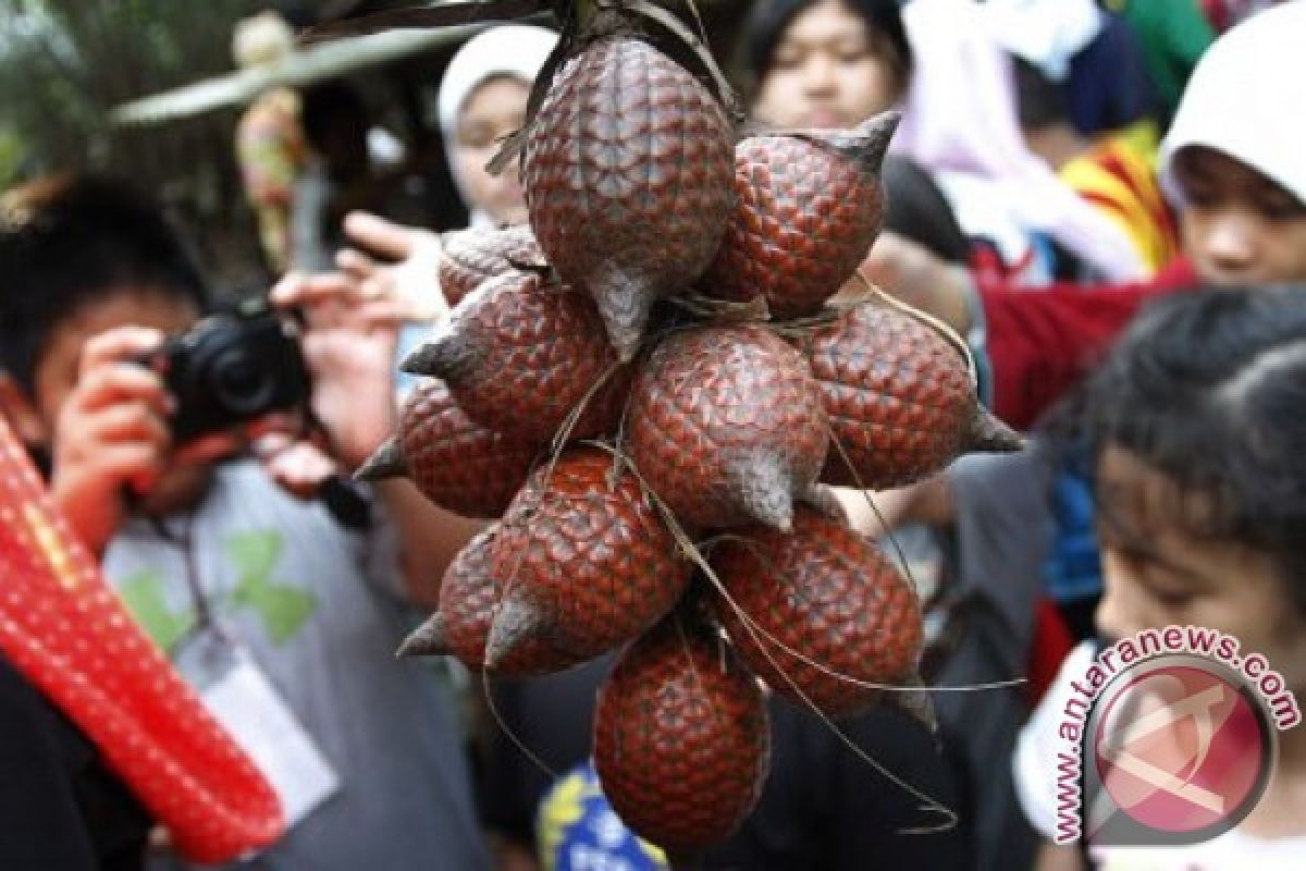 Presiden minta IPB kembangkan buah unggulan