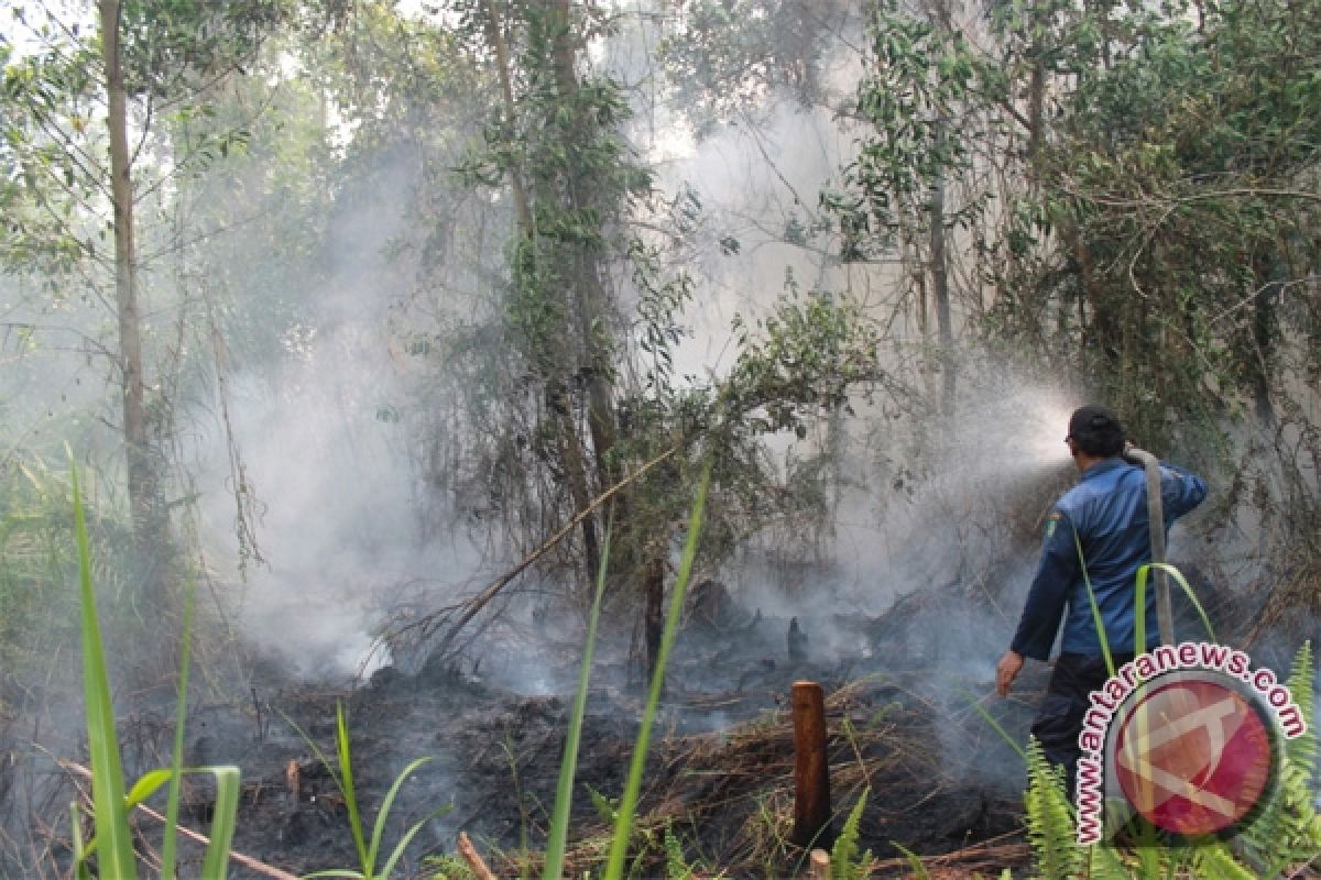 Sebanyak 20 Titik Panas Masih Kepung Riau