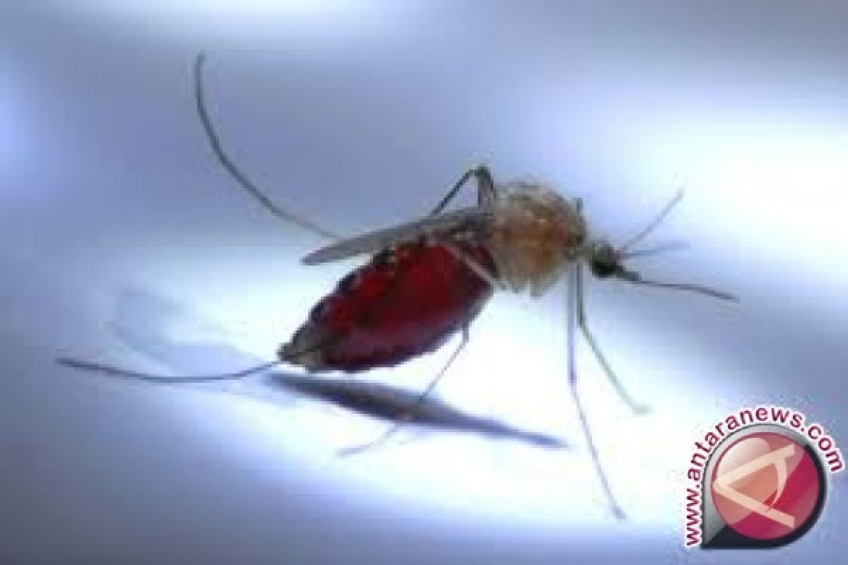 Kasus Malaria Impor Ditemukan Di Bogor