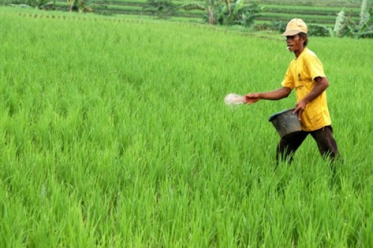 LIPI Ingatkan Bahaya Penggunaan Pupuk Kimia