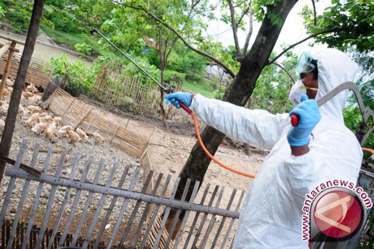 Pemkot Bekasi lakukan upaya preventif flu burung