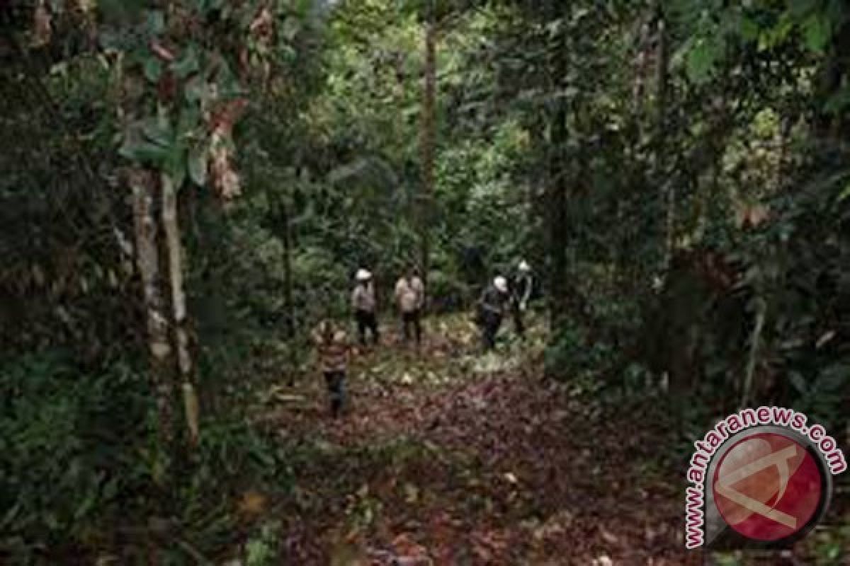 NTB  targetkan 35.000 ha hutan kemasyarakatan