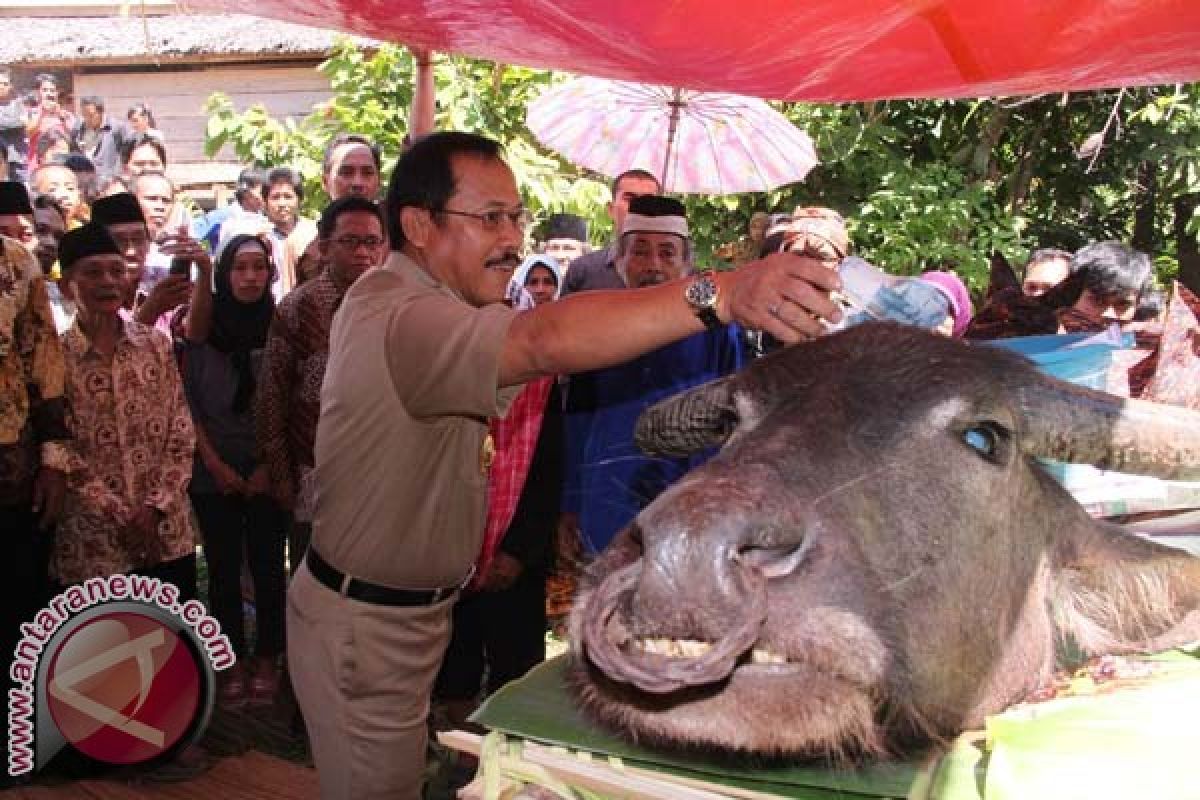 Warga Mamuju Gelar Ritual Adat "malliha Tampo" 