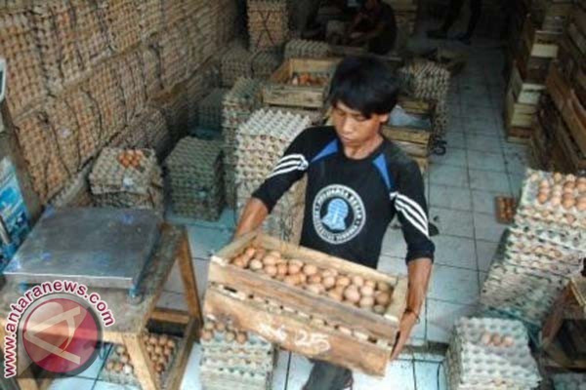 Harga Telur di Mamuju Naik